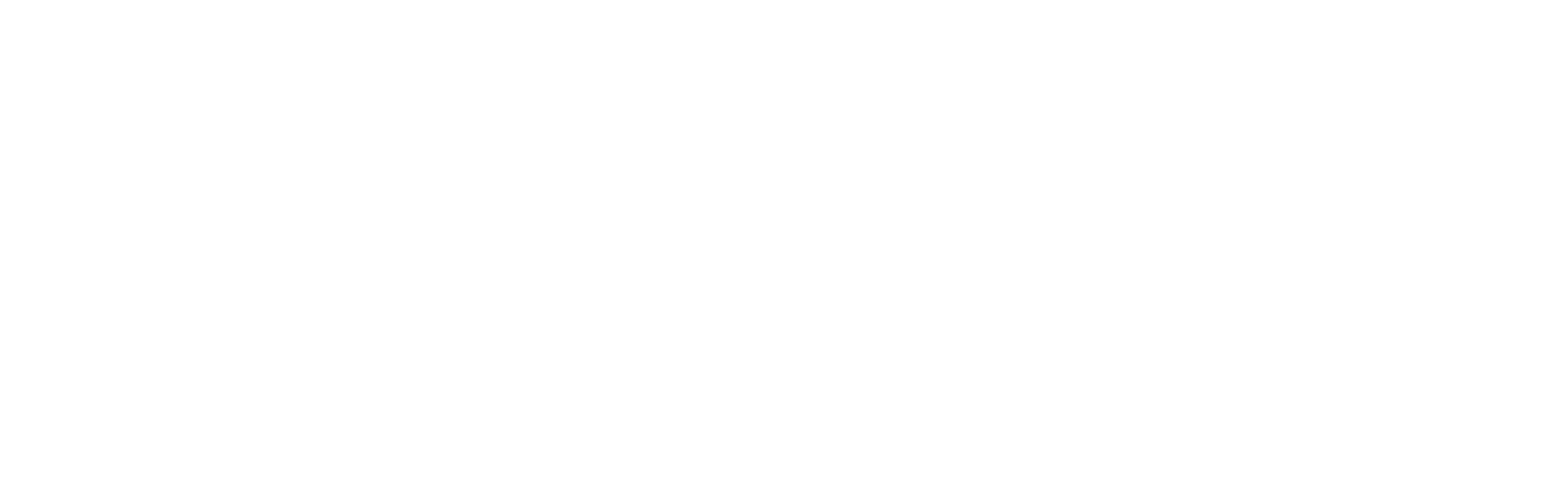 Omnia Executive Retirement